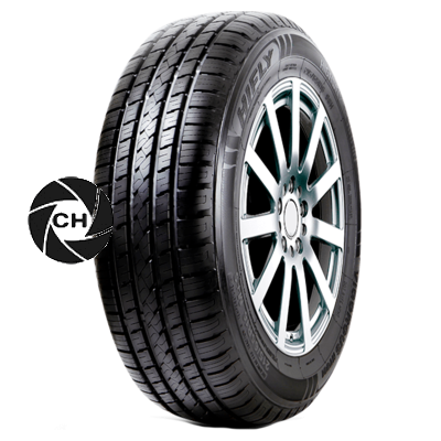 Vigorous HT601