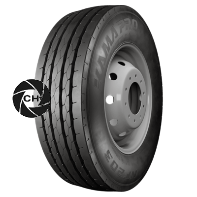 PRO NF 203